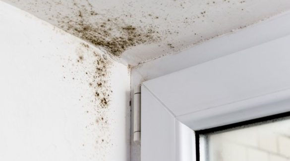 Muur en plafond met schimmel met daarnaast een kozijn - Zo verwijder je schimmel in je huis blijvend